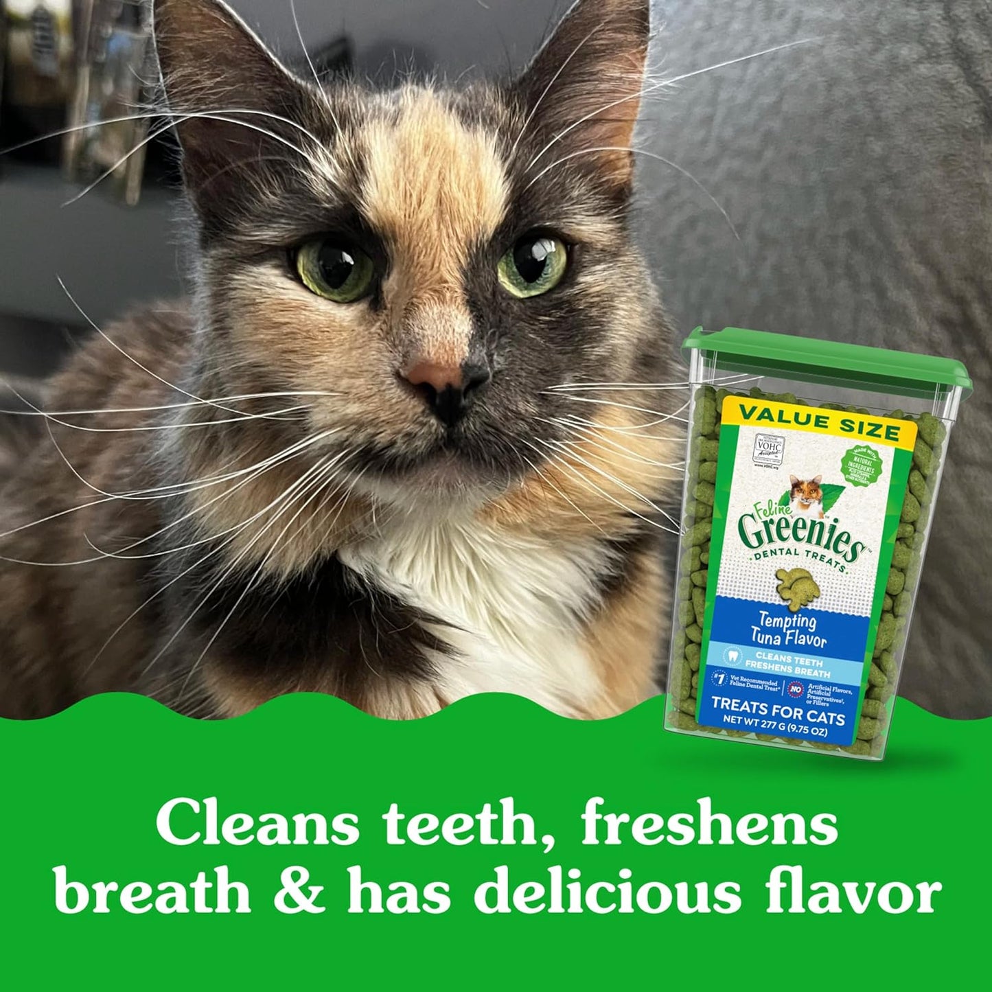 Feline Adult Dental Cat Treats, Tempting Tuna Flavor, 9.75 Oz. Tub