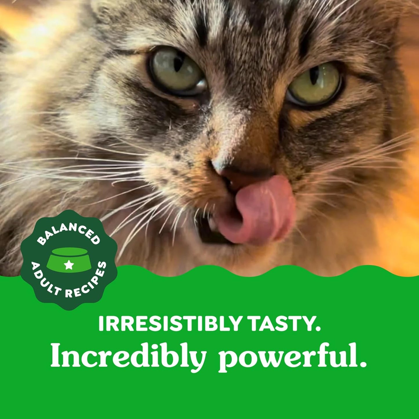 Feline Adult Dental Cat Treats, Tempting Tuna Flavor, 9.75 Oz. Tub