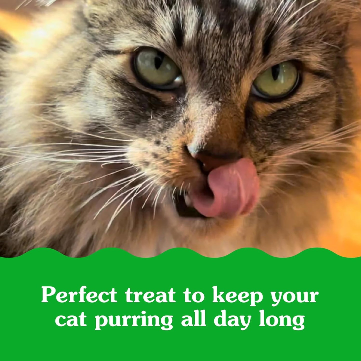 Feline Smartbites Skin & Fur Health Crunchy and Soft Cat Treats, Chicken Flavor, 16 Oz. Tub