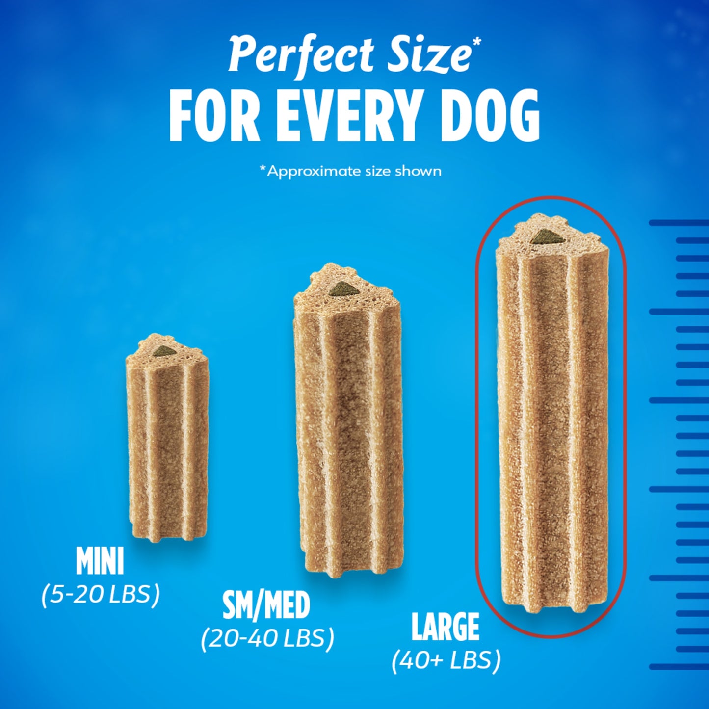 Purina Activfresh Chicken Flavor Large Breed Adult Dog Dental Chews