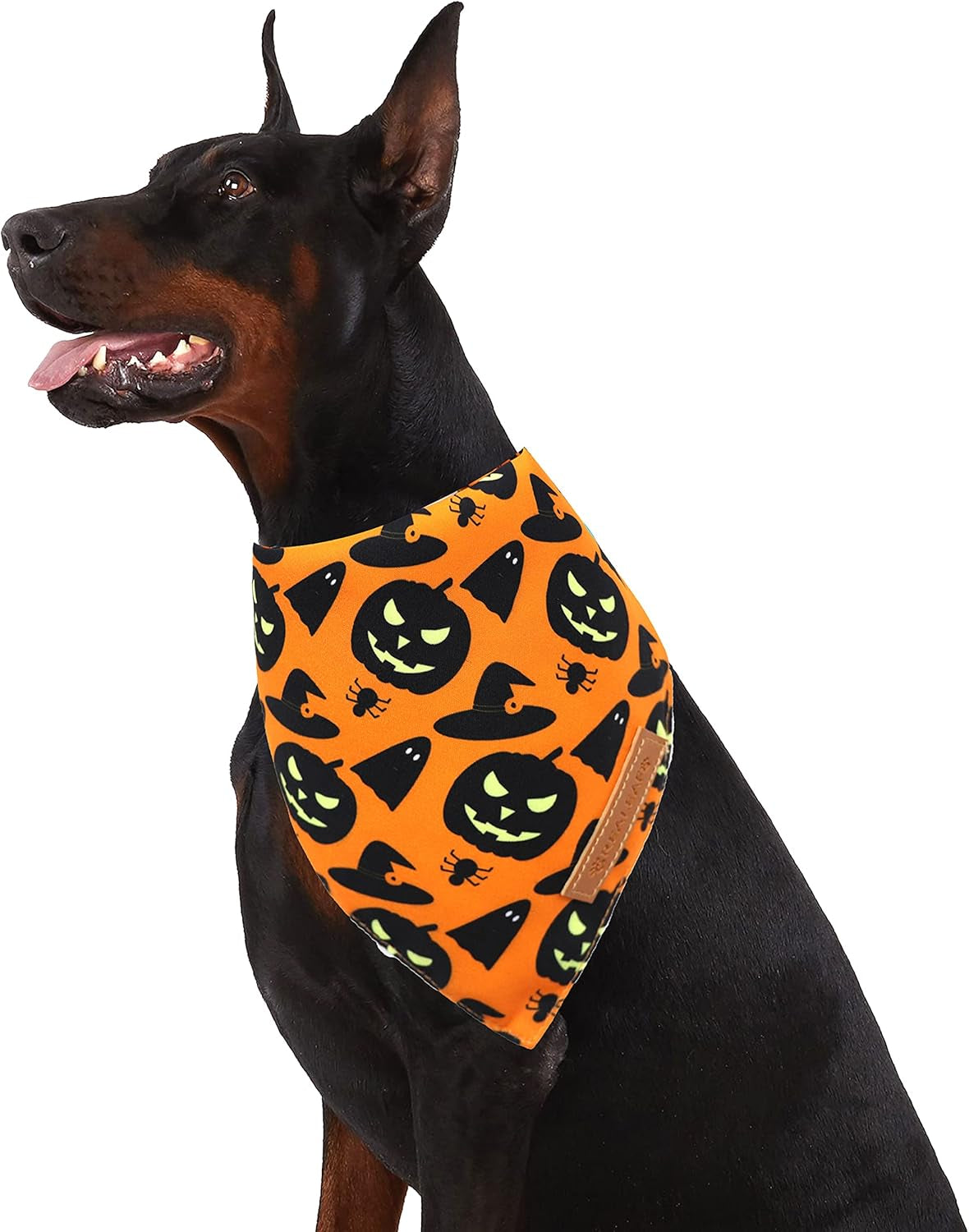 Realeaf Halloween Dog Bandanas 2 Pack, Pumpkin and Spider Web Bibs, Triangle Reversible Fall Pet Scarf, Premium Durable Fabric, Adjustable Fit (Large)