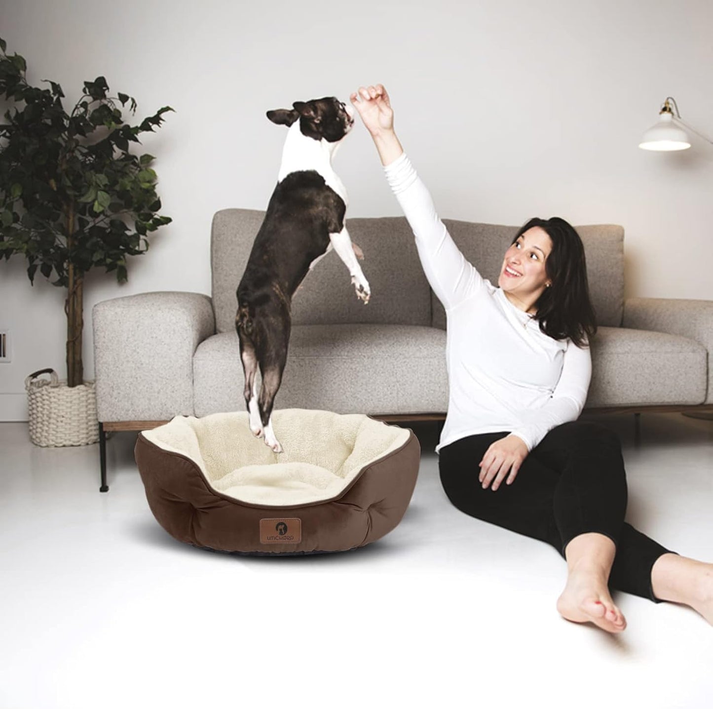 Asvin Small Dog Bed for Small Dogs, Pet Bed for Puppy and Kitty, Water-Resistant Oxford Bottom