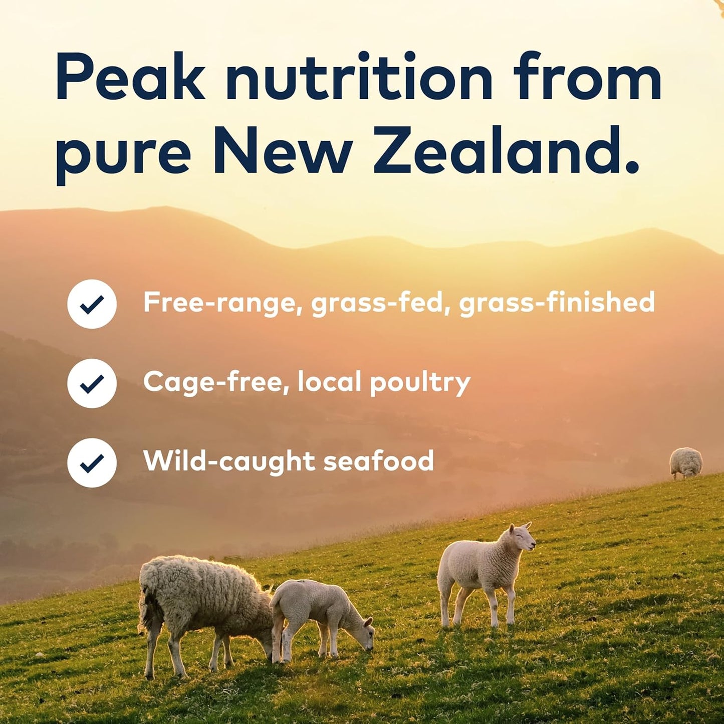 Peak Air-Dried Dog Food – Beef - ZIWI Peak