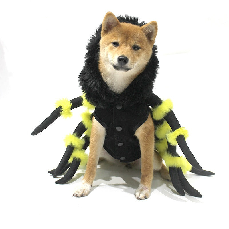 New pet cat spider transformation costume cosplay dog Halloween funny dog costume dress up