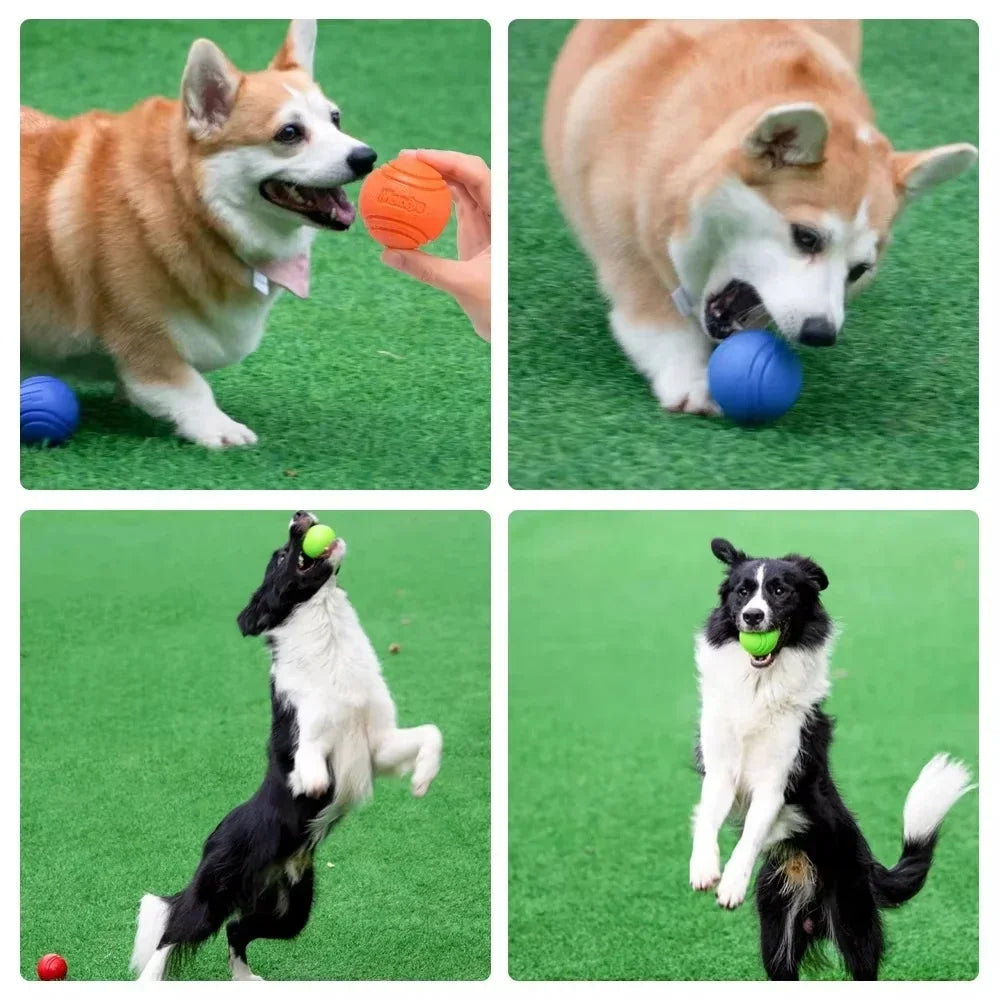 Dog Ball Chew Toys Funny Bouncy Rubber Solid Ball for Small Large Dog Toys Outdoor Throwing Training Toys Pet Supplies