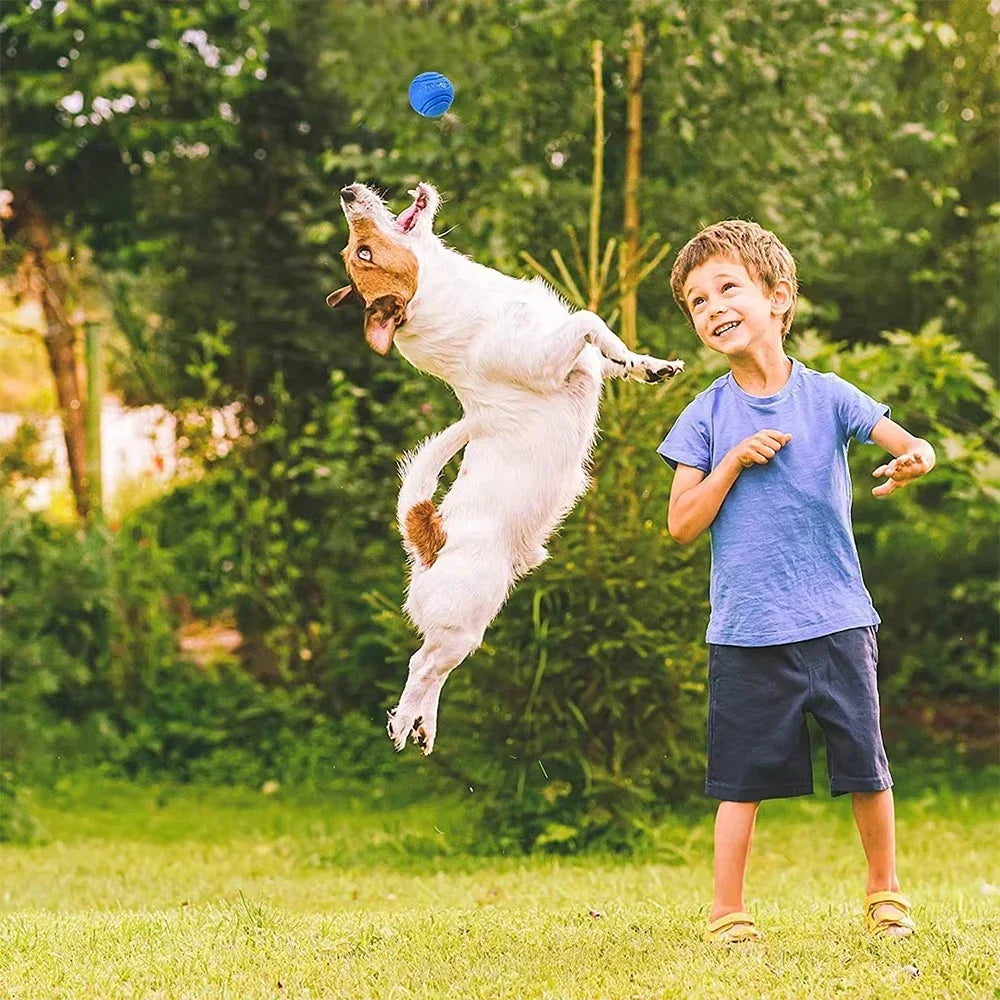 Dog Ball Chew Toys Funny Bouncy Rubber Solid Ball for Small Large Dog Toys Outdoor Throwing Training Toys Pet Supplies