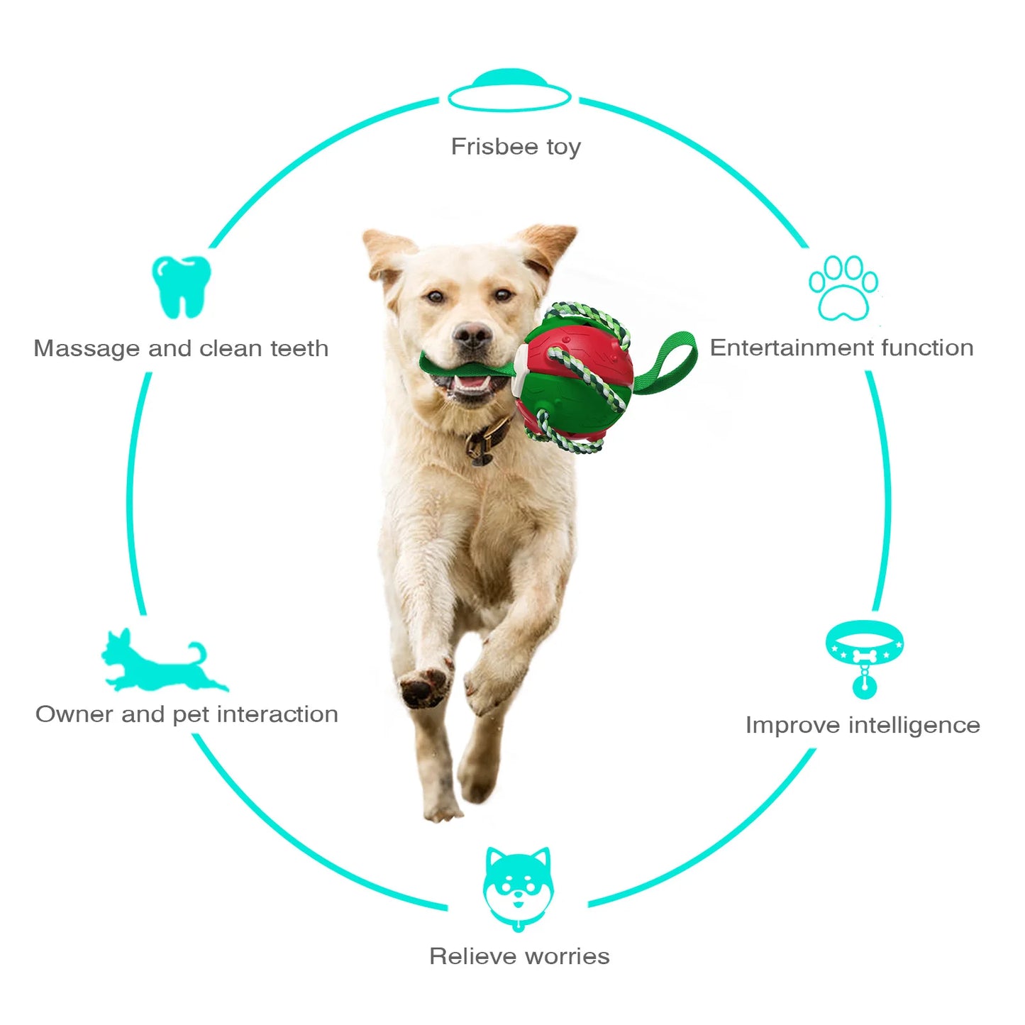Dog Soccer Ball Interactive Toys Auto Expand Training Toys Outdoor Pet Toys Dog Training Tools
