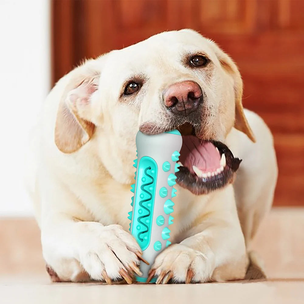 Dog Chew Toy for Large Small Dogs Pet Food Feeder Treat Dispenser Tooth Clean Interactive Training Toy Bulldog Labrador Supplies