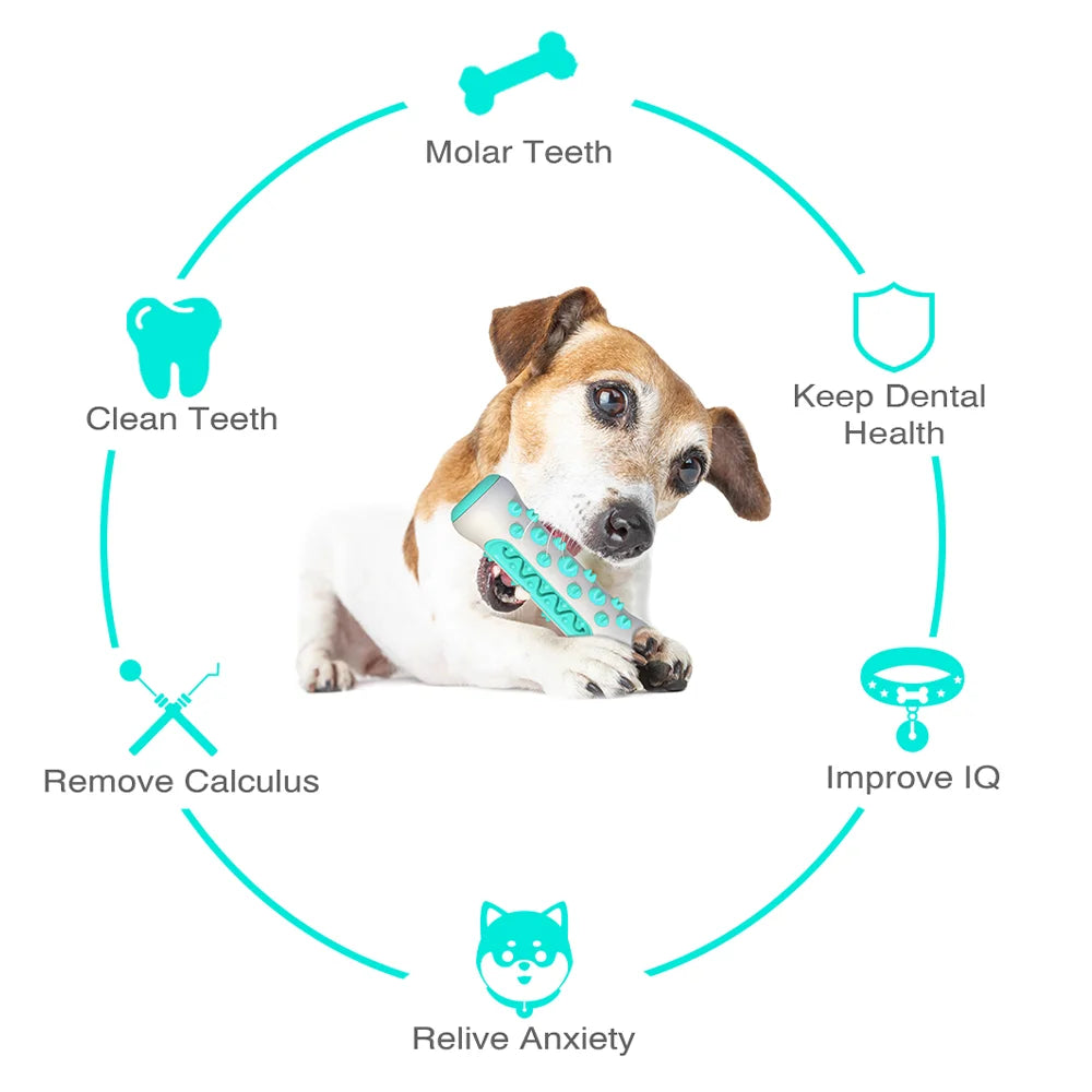 Dog Chew Toy for Large Small Dogs Pet Food Feeder Treat Dispenser Tooth Clean Interactive Training Toy Bulldog Labrador Supplies