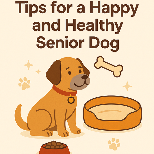 Tips for a Happy and Healthy Senior Dog