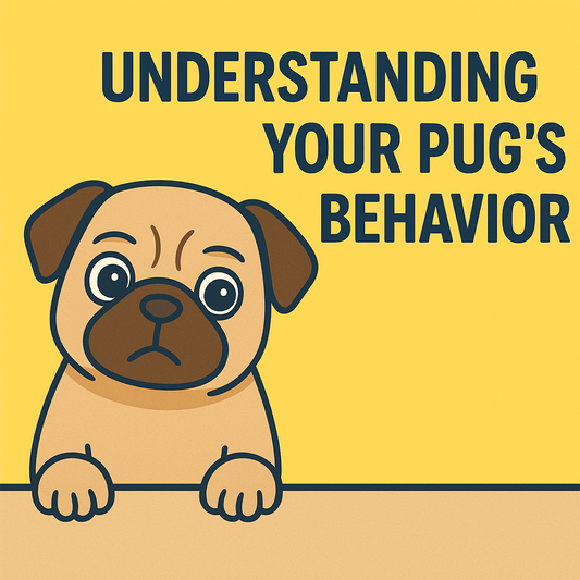 🐾 Understanding Your Pug’s Behavior