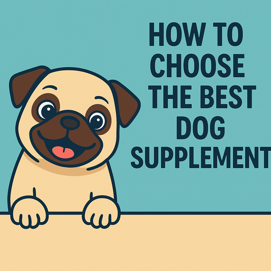 How to Choose the Best Dog Supplement