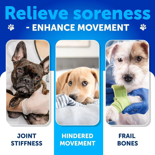 Glucosamine for Dogs Hip and Joint Supplement for Dogs with Arthritis Chews