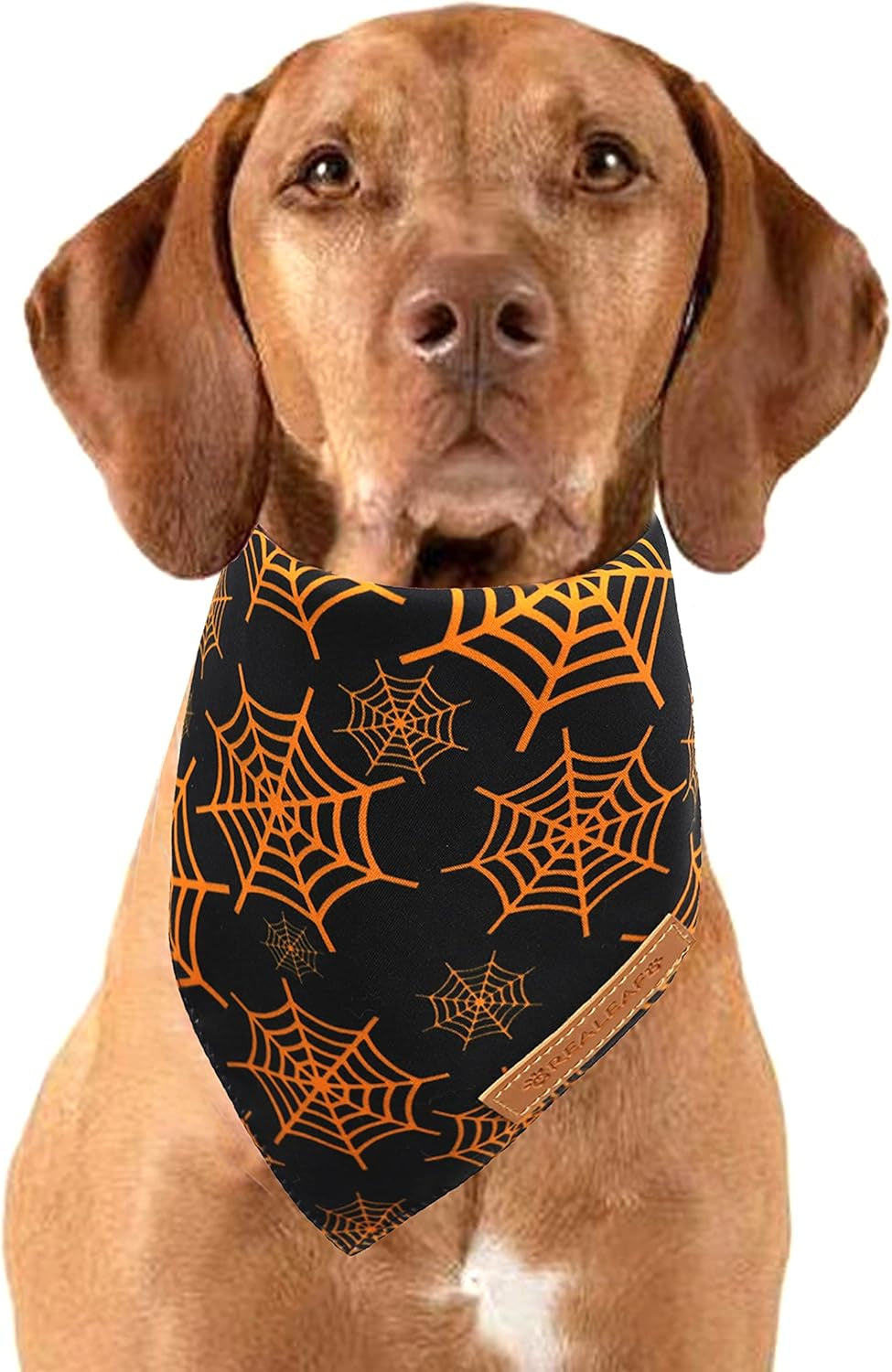 Realeaf Halloween Dog Bandanas 2 Pack, Pumpkin and Spider Web Bibs, Triangle Reversible Fall Pet Scarf, Premium Durable Fabric, Adjustable Fit (Large)