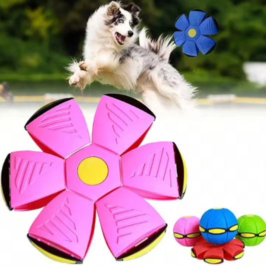 Pet Bouncy Ball Stepping Ball Flying Saucer Deformed Ball Two Forms Dog Bouncing  Outdoor Ball Toys Gift