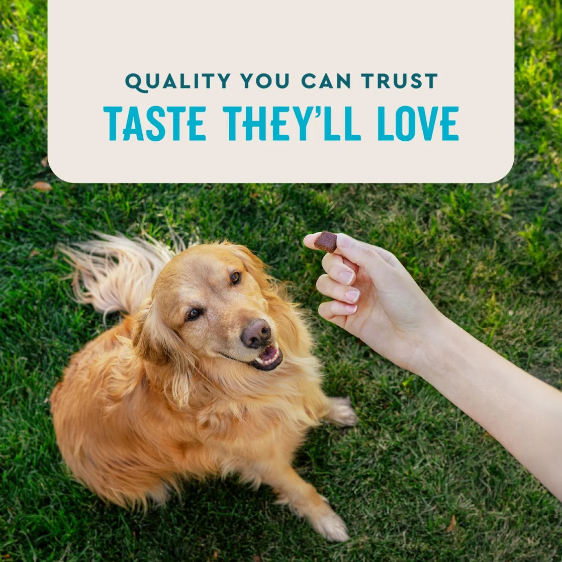 (3 Pack)  Hip & Joint Supplement for Dogs, Chicken Flavored Soft Chews, 7.4 Oz